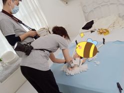 -玛瑞莎·儿童·亲子摄影(越秀店)