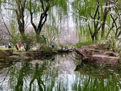 -范蠡湖公园