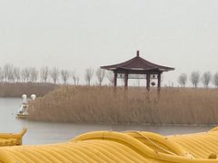 -南大港湿地风景区
