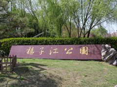 -扬子江公园
