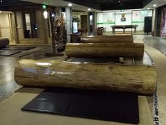 -绿岛汤泉韩式休闲会所