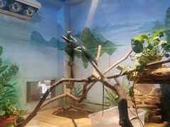 -石家庄市动物园