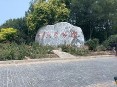 -西青郊野公园