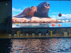 -泉城欧乐堡海洋极地世界