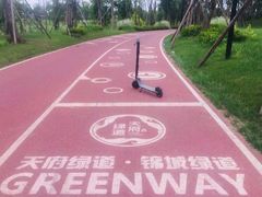 -白鹭湾湿地公园