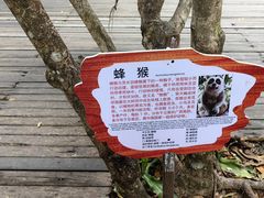 -普洱太阳河森林公园