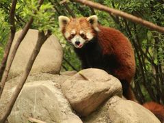 -西安秦岭野生动物园