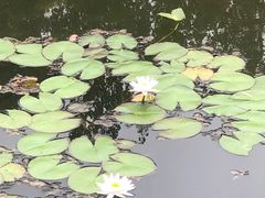 -迎泽公园