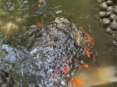 -成都杜甫草堂博物馆