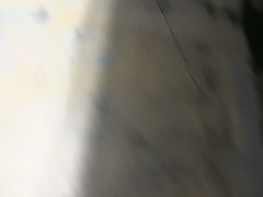 -巢爷老味(东方红店)