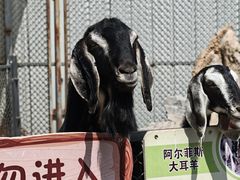-保定市动物园