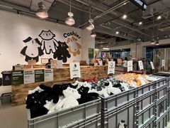 -多抓鱼循环商店(虹桥天地店)