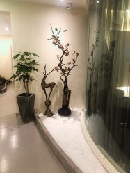 -康颜SPA自然疗愈皮肤管理中心