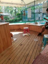 -萌宠亲子动物乐园(槐房万达店)