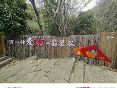-黄山翡翠谷景区