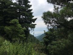 -苍山感通索道