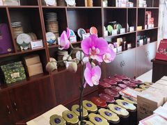 -七彩云南茶(七彩云南第壹城店)