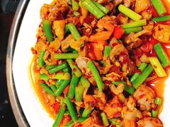 辣炒鸡胗-湖南文氏湘菜馆(顺河高架路店)