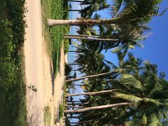 三亚湾海居铂尔曼度假酒店-三亚湾海居铂尔曼度假酒店