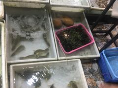 -拉威海鲜市场