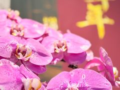 -钱王祠