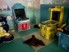 -青水瓦台汤泉(未央店)