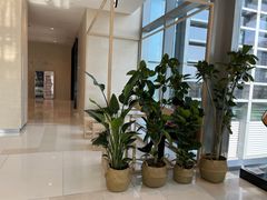 -Seesaw Coffee(环贸iapm店)