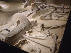 -洛阳周王城天子驾六博物馆