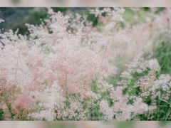 -嘉北郊野公园