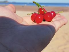 -青岛石老人海水浴场