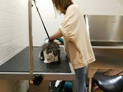 -Pets First伊珊娜洗护·精致美容·家庭式寄养(新会路店)