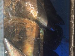 -阿伟海鲜楼·福建菜(延寿店)