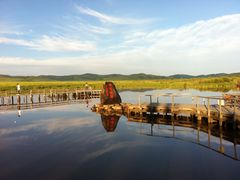 -塞罕坝国家级自然保护区