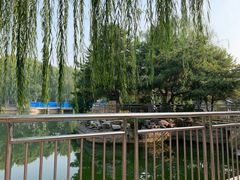 -黄村公园