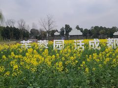 -天府芙蓉园