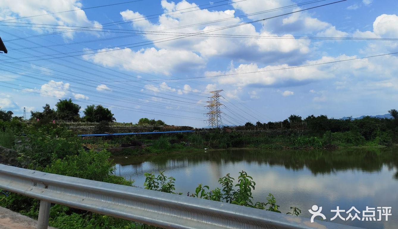 璧山葡萄