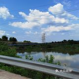 璧山葡萄