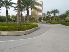 -宝安西湾红树林湿地公园