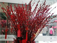 -THE PAWON·8碗(古北SOHO店)