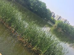 -新江湾城公园