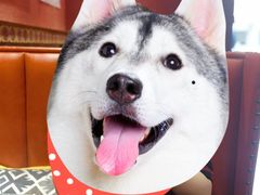 -鸣记脆皮烤鱼(山姆店)