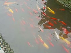 -成飞公园