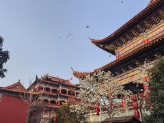 -皇罗禅寺