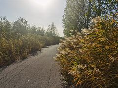 -天津东丽湖风景区