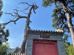 -妙峰山风景名胜区