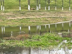 -厦门国家会计学院