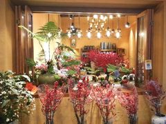 -溪岸路花鸟市场