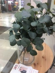 点击看大图 -Wisezone唯点穿耳打耳洞专业国际连锁品牌