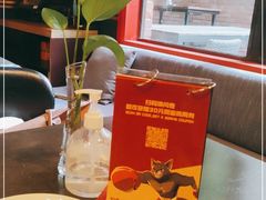 -Boxing Cat Brewery拳击猫精酿啤酒馆(永福店)