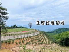 -天姥山